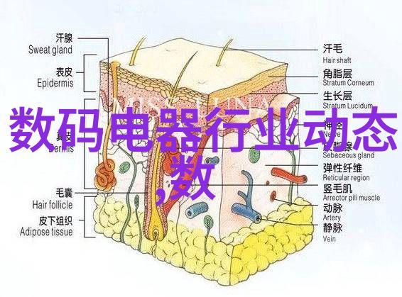郴州干湿分离机生产厂家 粪便干湿分离机 操作简单 方便使用