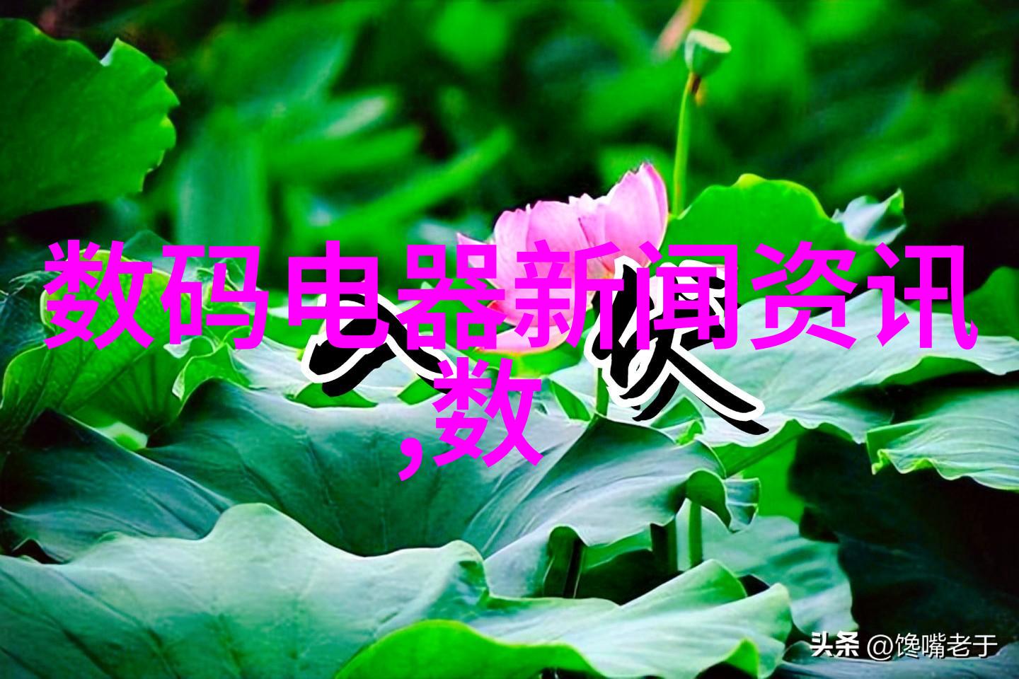 自动进排气阀