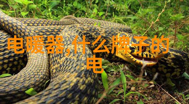 热泵烘干机